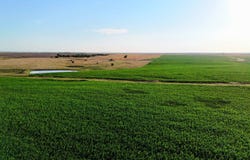 TBD West Road, Rozel, KS 67574