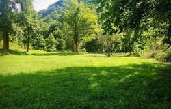905 Arnold Fork Road, Kite, KY 41828