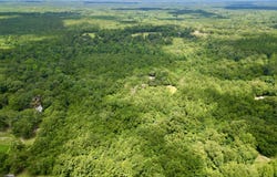 Tract 2 Gumpond Beall Road, Lumberton, MS 39455