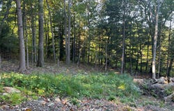 Mamakating Road, Wurtsboro, NY 12790