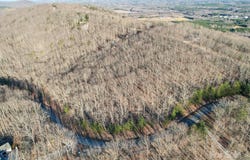 485 Pinnacle Trail unit: 58, Denton, NC 27239