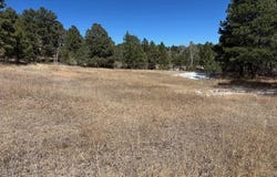 3560 Range View Road, Monument, CO 80132