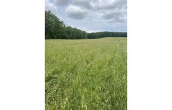 SPRINGWOOD RD. C-2, CHARLEVOIX, MI 49720