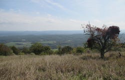 WAXLER Road, KEYSER, WV 26726