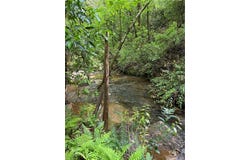 Mill Trace Court, Cleveland, GA 30528