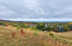 11734 S Sleepy Valley Drive lot: 41, Empire, MI 49630