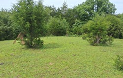 Buford Rd., Bybee, TN 37713