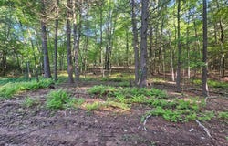 195 KNOTTY PINE ROAD, NEW BLOOMFIELD, PA 17068