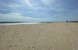 1500 Ocean Avenue, Sea Bright, NJ 07760