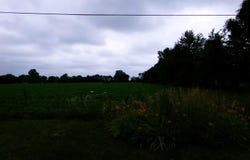TBD Garfield Road, Saginaw, MI 48603