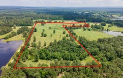 TBD County Road 2801, Shelbyville, TX 75973