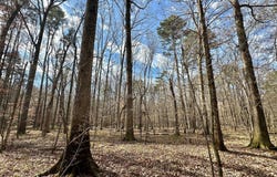 6 Cut Off Road, Carthage, MS 39051