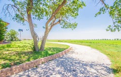 1181 FM 2236, Ralls, TX 79357