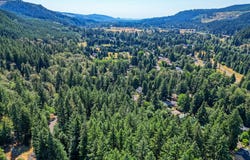 Bridge, Springfield, OR 97478