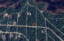 118 N CAROLINA DRIVE, SATSUMA, FL 32189