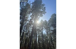 560 Princess Road, Cripple Creek, CO 80813