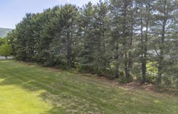 COLD SPRINGS RD, STUARTS DRAFT, VA 24477