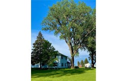 1155 110th Avenue SE, Murdock, MN 56271