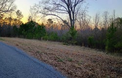 COMERDALE ROAD lot: 00, SYLACAUGA, AL 35150