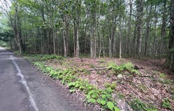 Lot 45 + Gardner Road, Newfoundland, PA 18445