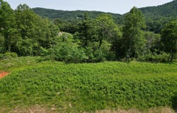 Lot 33 River Rock RD, Vinton, VA 24179