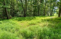 0 War Fork Rd Road, McKee, KY 40447