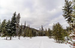 Nhn E Fisher Road, Libby, MT 59923