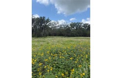 2135 Mule Creek Rd, Harwood, TX 78632