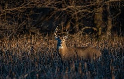1234  CO Rd, Larned, KS 67550