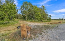 4444 Zoar Church Road, Elberfeld, IN 47613