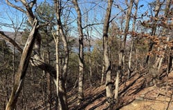 5-267 Chimney Rock Road, Camdenton, MO 65020