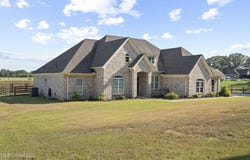 7101 Old Hwy 301, Lake Cormorant, MS 38641