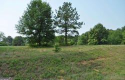 535 Penny Lane, Loganville, GA 30052