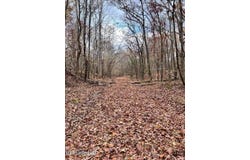 N Ricks Road, Byhalia, MS 38611