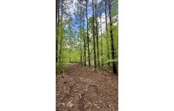 0 Sullivan Road, Dunlap, TN 37327