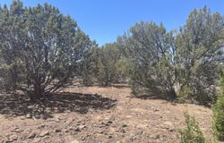 148 Alaska Avenue, Concho, AZ 85924