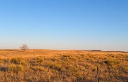 CR 105, Simla, CO 80835