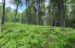 xxx Crystal Lake Road, Barnum, MN 55707