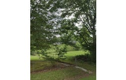 2202 E Avenue B, Hooks, TX 75561