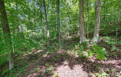 1250 Arborcrest Way, Swannanoa, NC 28778