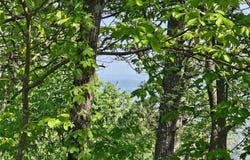391 Meteor Court NE, Ranger, GA 30734
