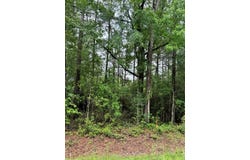 1945 FM 353, San Augustine, TX 75972