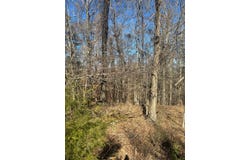 1181 Salem Church Road, Grenada, MS 38901