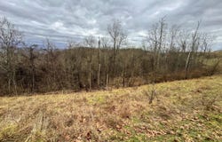 Jug Run, Alma, WV 26320