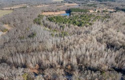0 John George Loop, Michie, TN 38357