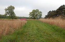 9500 Jones Road, Bellevue, MI 49021
