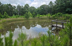 15.43 E 1665 RD., Clayton, OK 74536