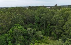 HEWITT Road, Hammond, LA 70403