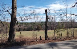 Map 1 Lot 50 Colburn Road, New Boston, NH 03070