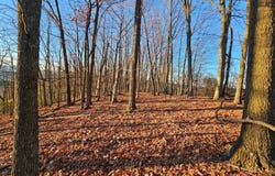 290 Ashton Woods, Moorefield, WV 26836